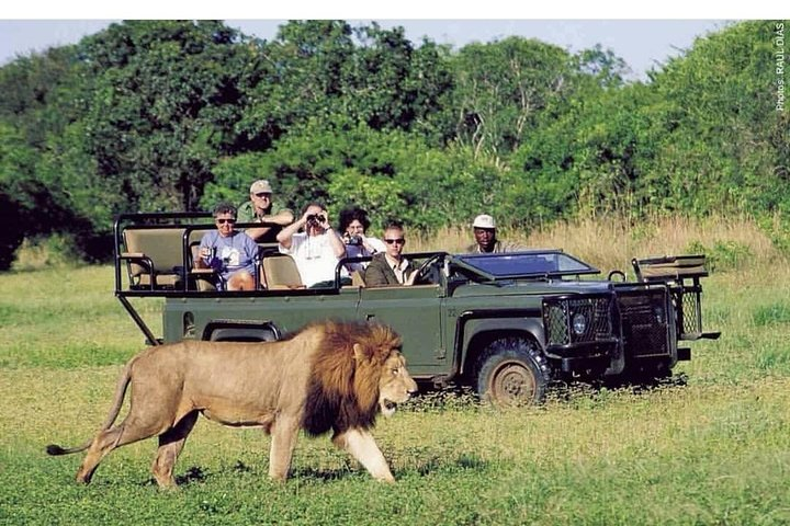 Pilanesberg full day safari private  - Photo 1 of 12